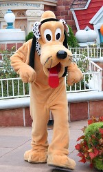 �č��̉p�Y�ł��閻�������疼�t����ꂽ��